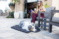 Foldable travel dog mat with a shoulder strap