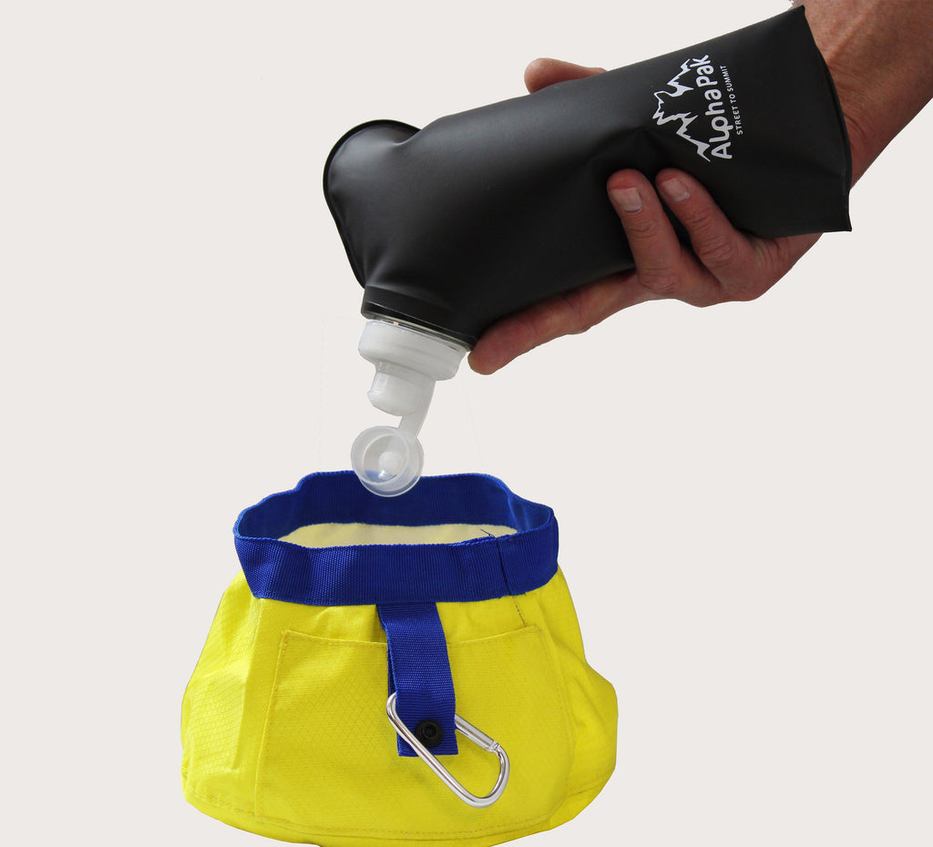 Collapsible bowl