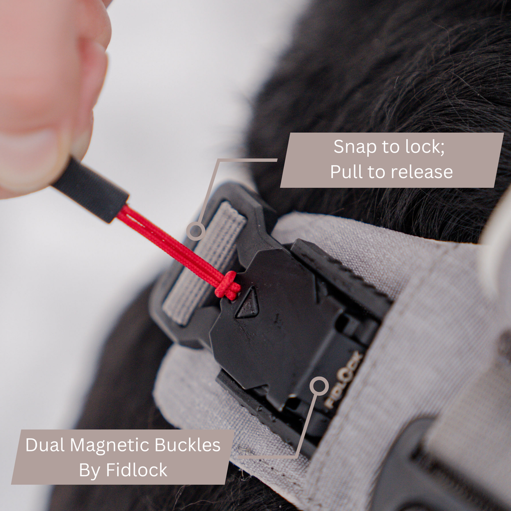 Magnetic harness