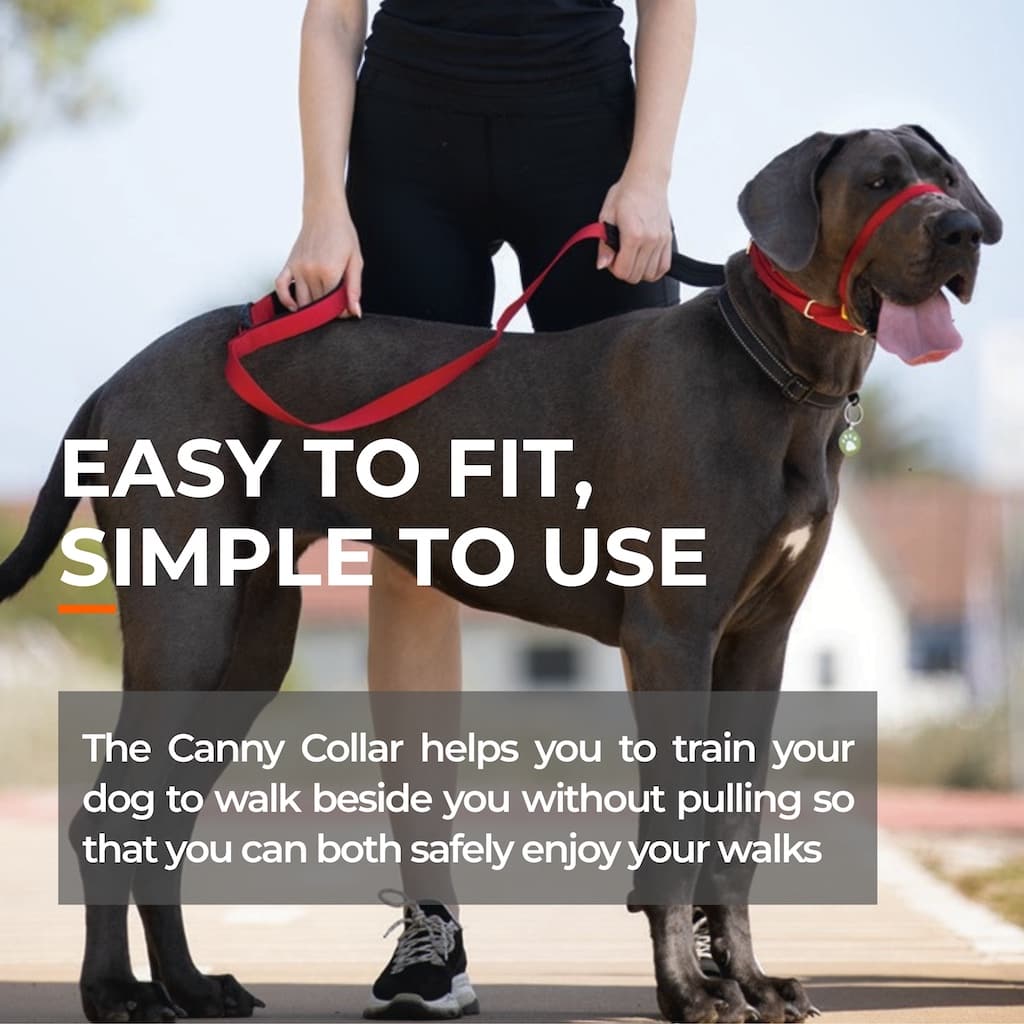 Head collar