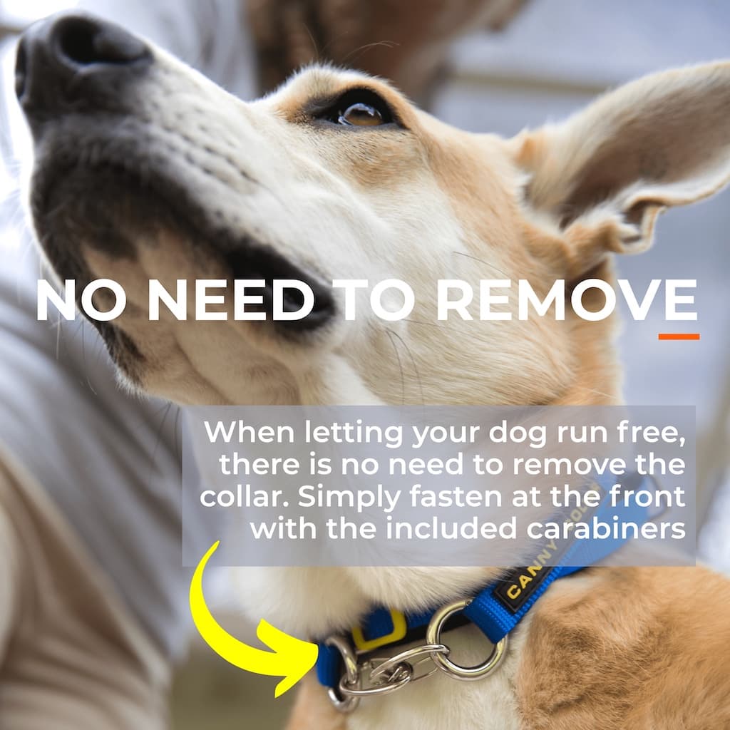 Head collar
