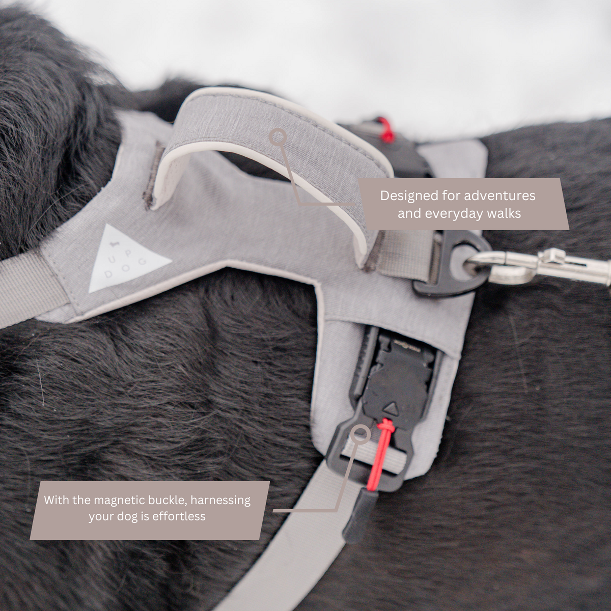 Magnetic harness