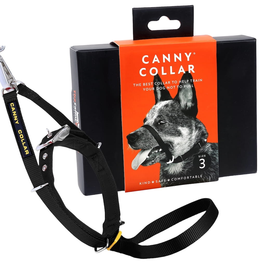 No-pull dog head collar