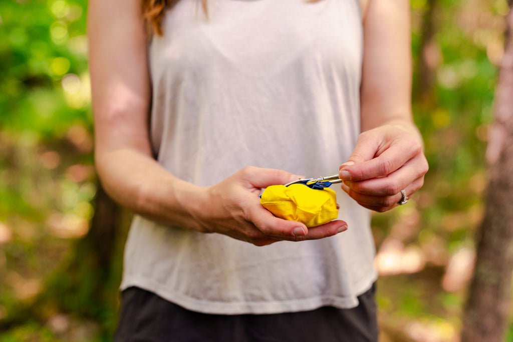 Collapsible bowl