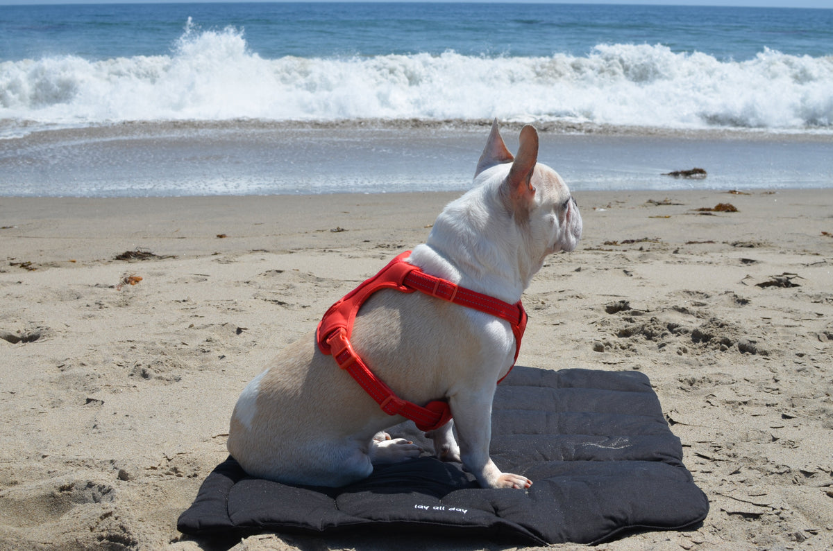 Travel mat