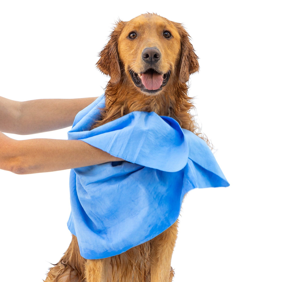 Synthetic dog drying towel, used damp