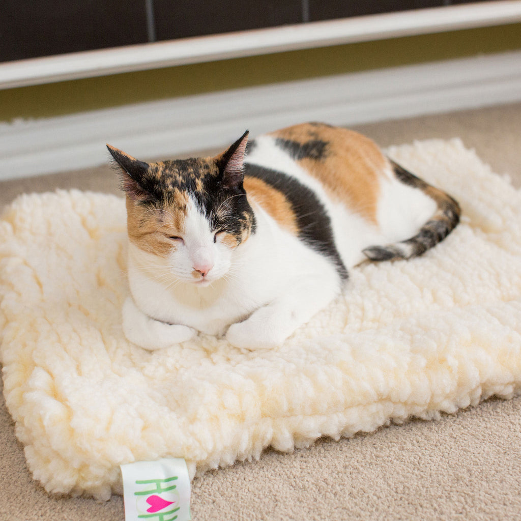 Fleece crate mat