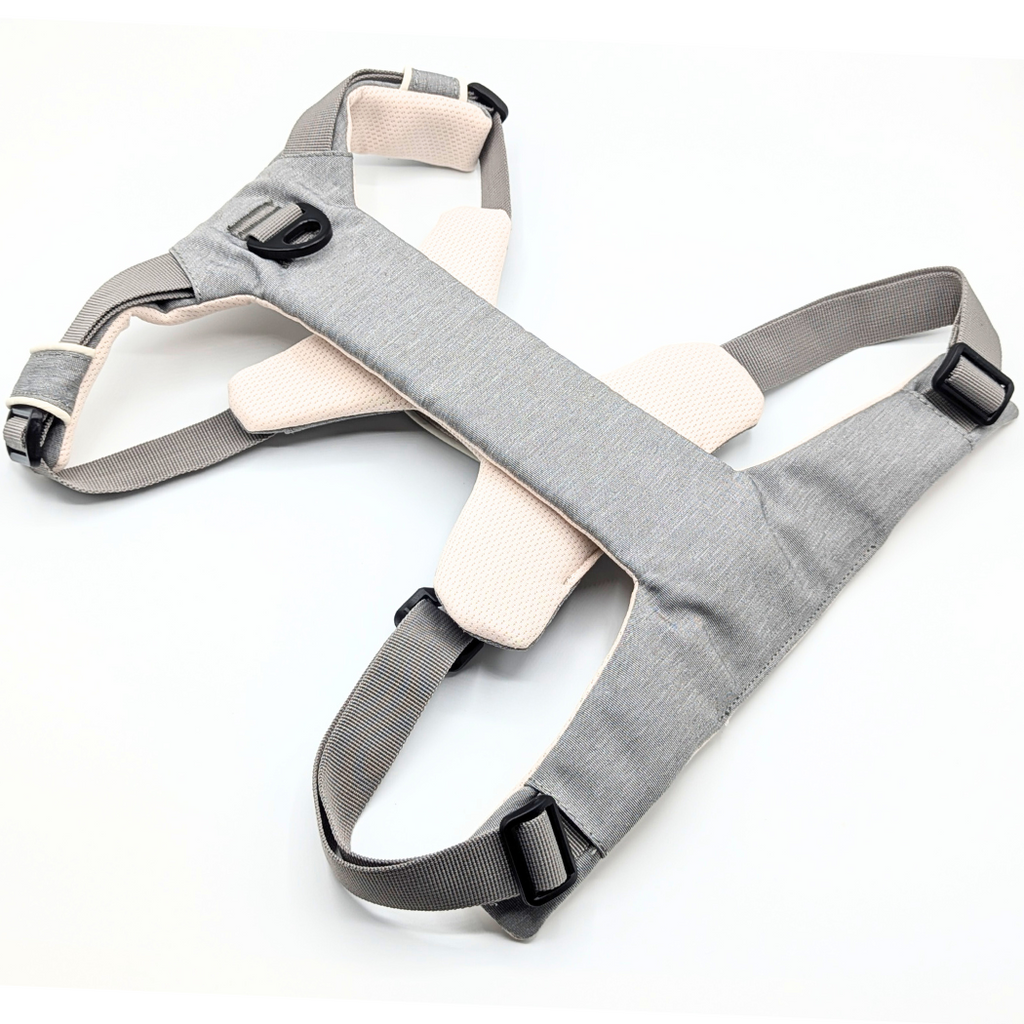 Magnetic harness