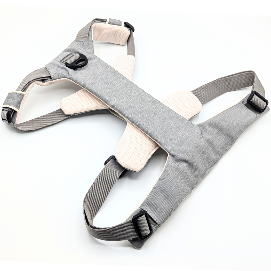 Magnetic harness
