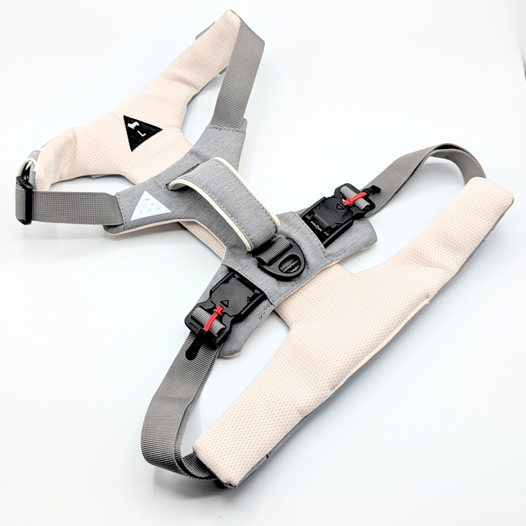 Magnetic harness