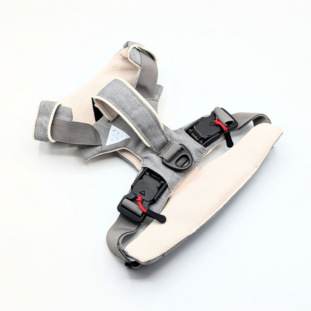 Magnetic harness