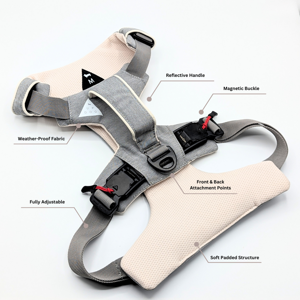 Magnetic harness