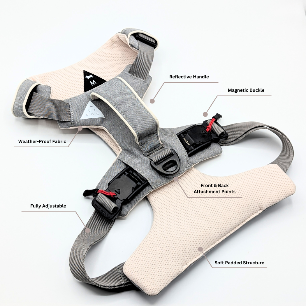Magnetic harness