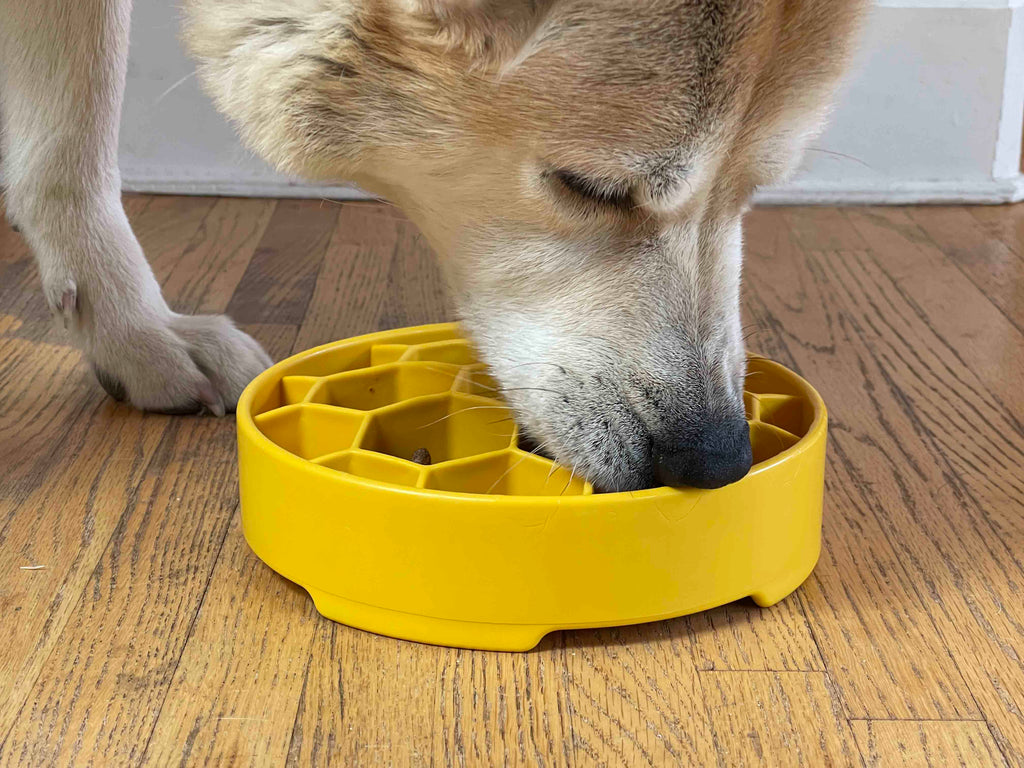Deep slow feeder