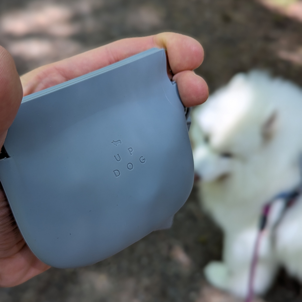 Treat pouch