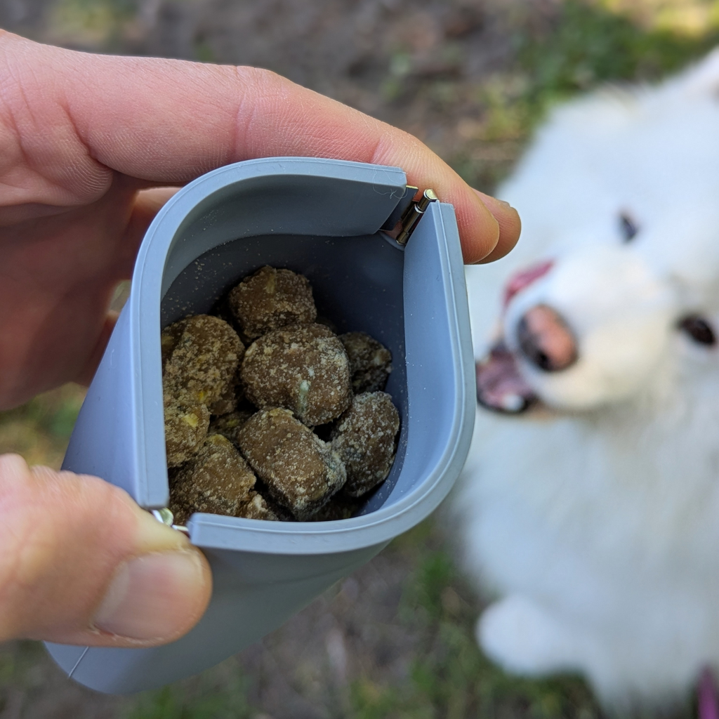 Treat pouch
