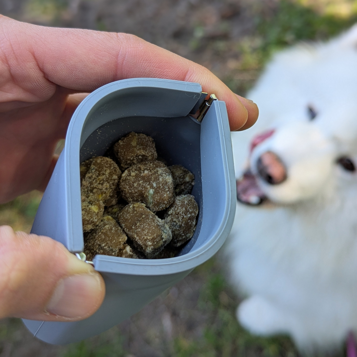 Treat pouch