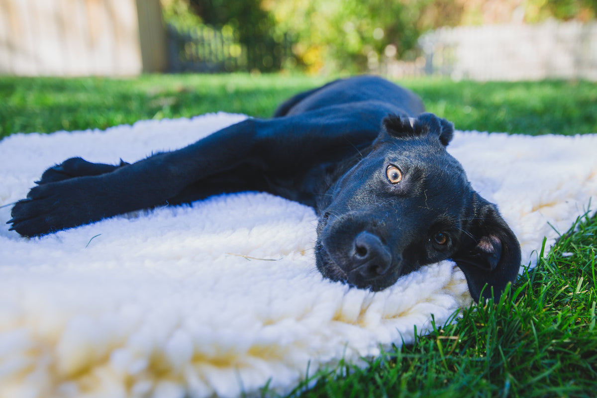 Fleece crate mat