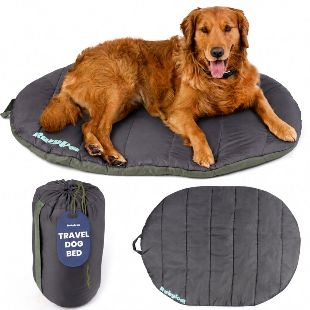 Packable travel bed