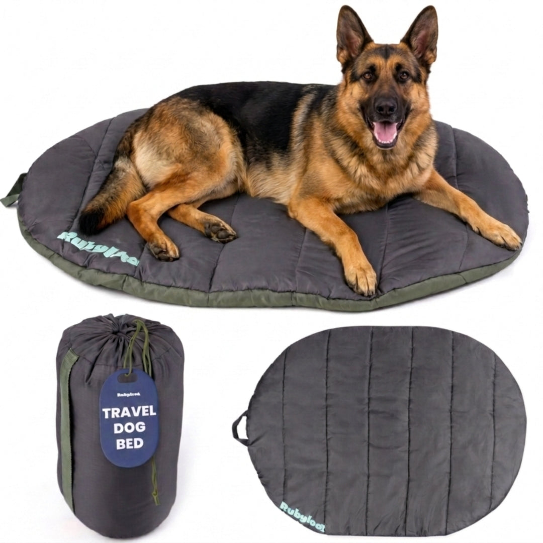 Packable travel bed
