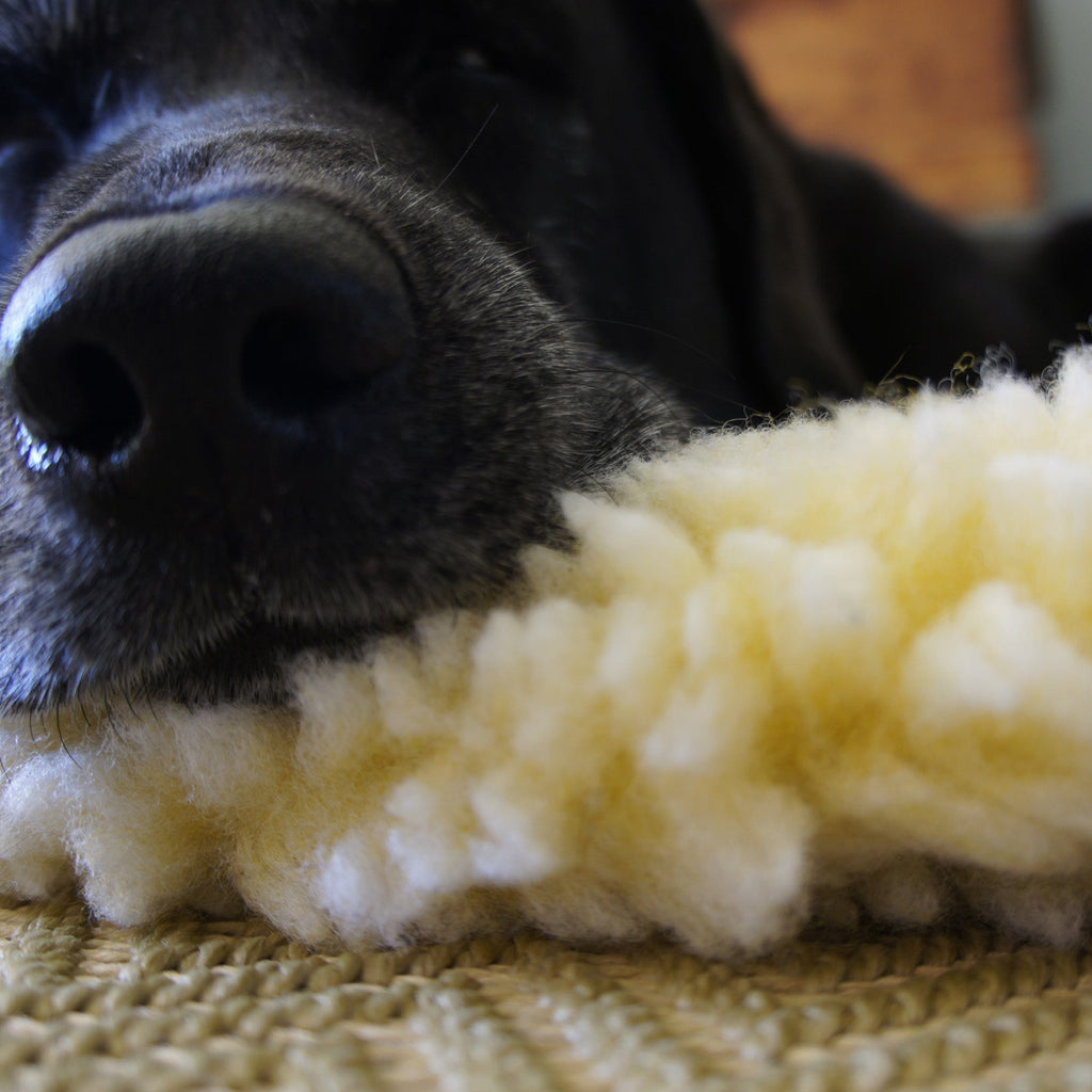 Fleece crate mat