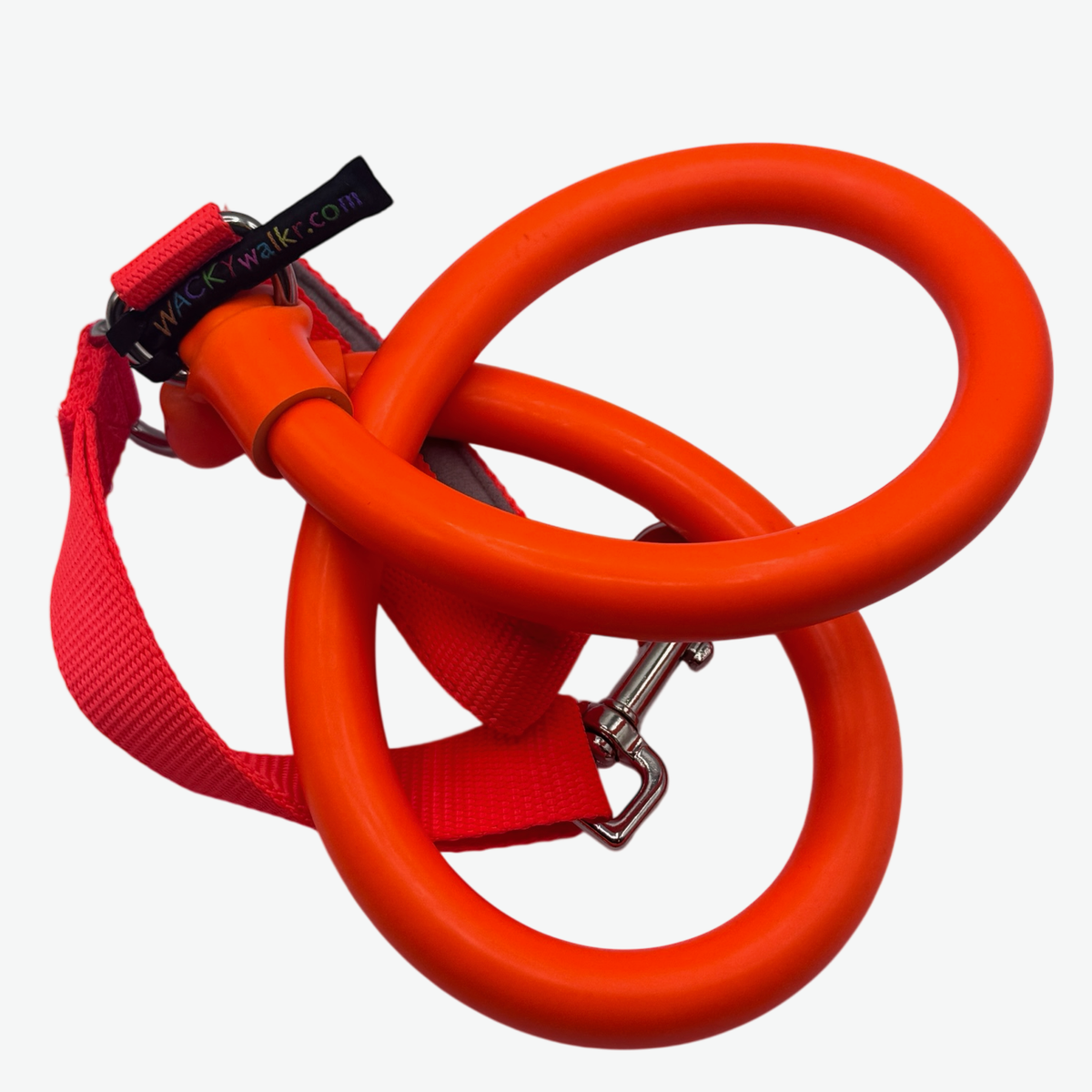 Bungee leash