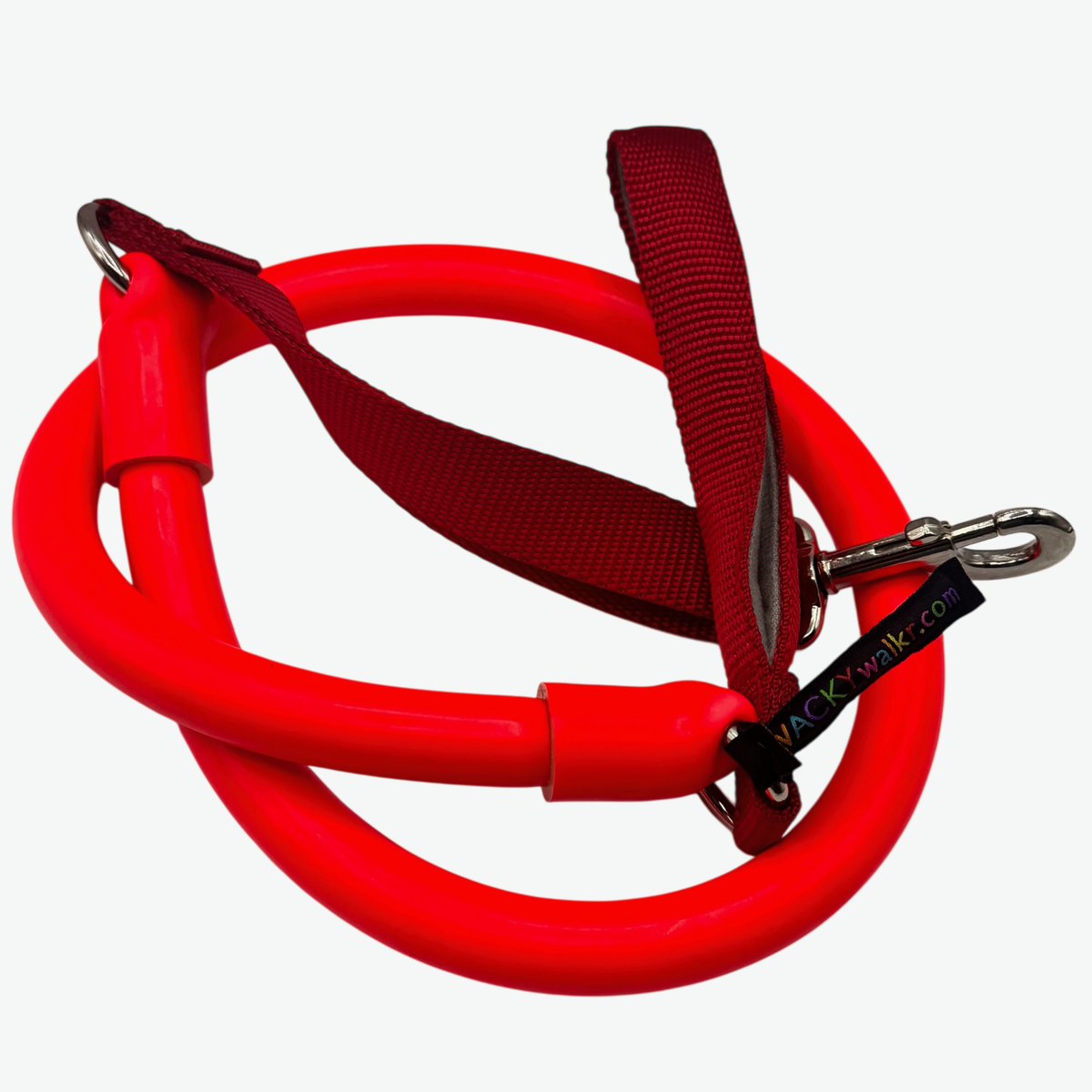 Bungee leash