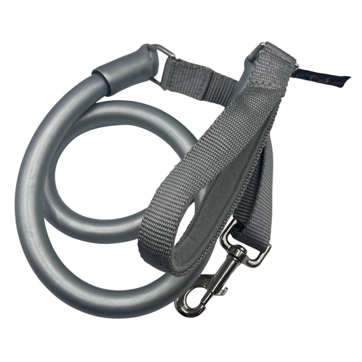 Bungee leash