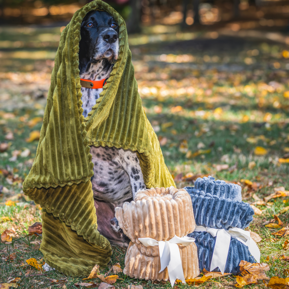 Blanket