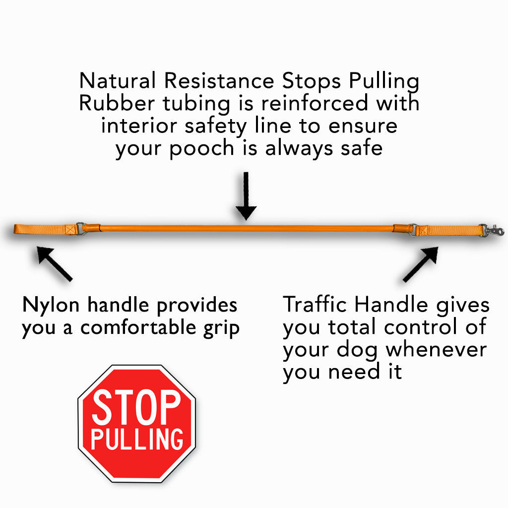 Bungee leash