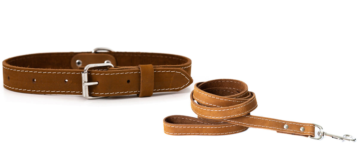 Leather collar and leash