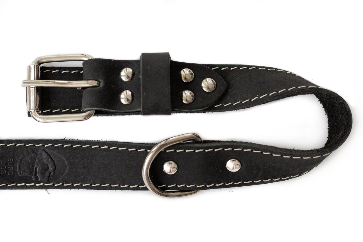 Leather collar and leash