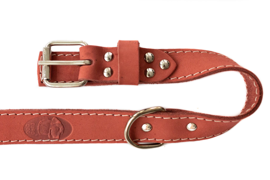 Leather collar and leash