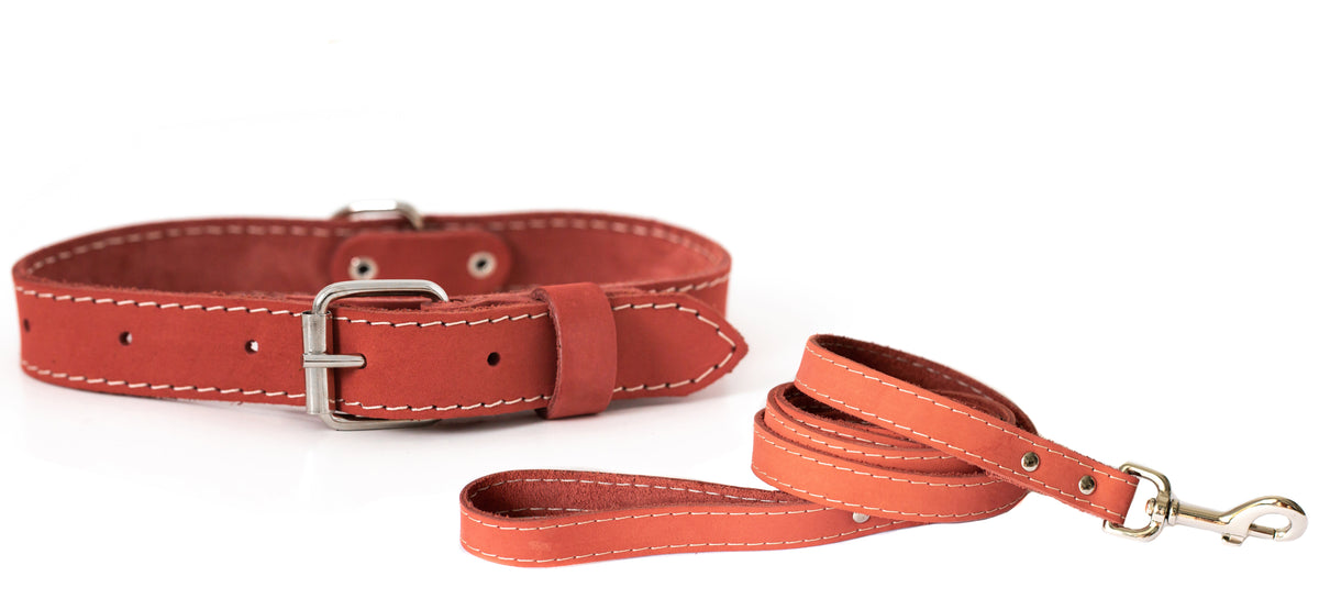 Leather collar and leash