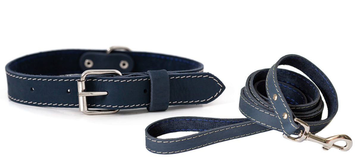 Leather dog collar and matching leash