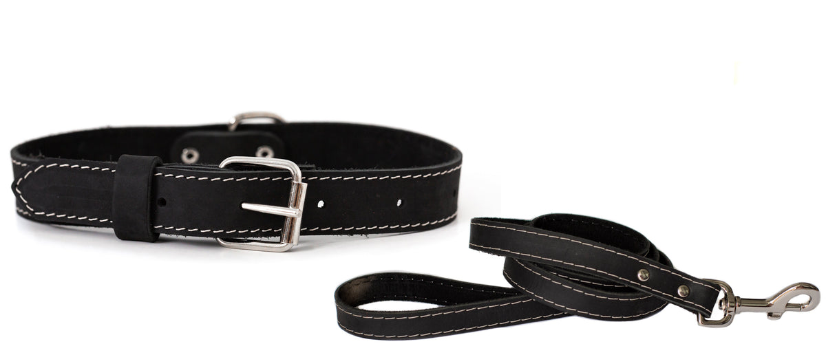 Leather collar and leash
