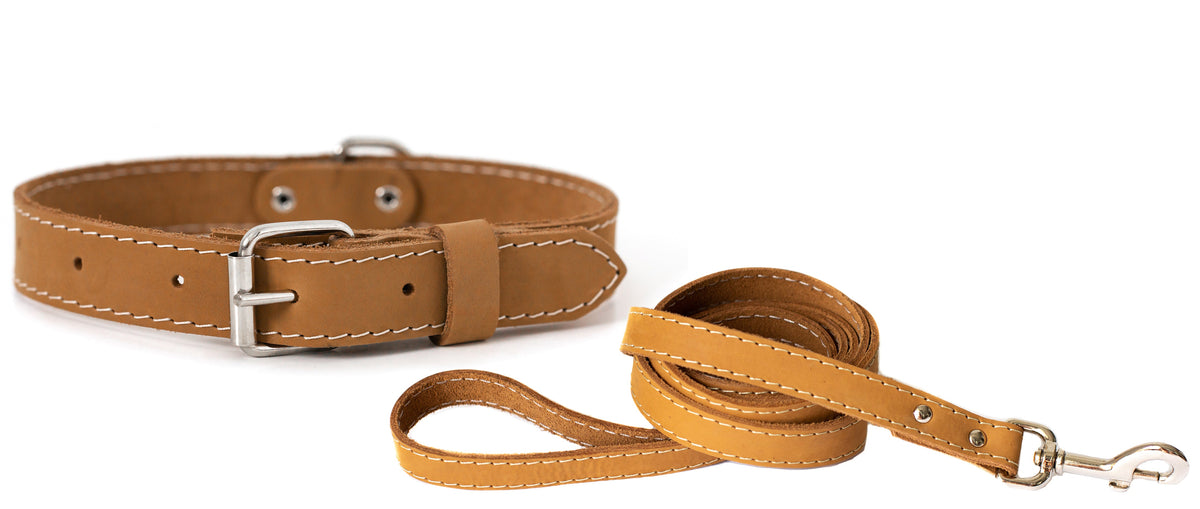 Leather collar and leash