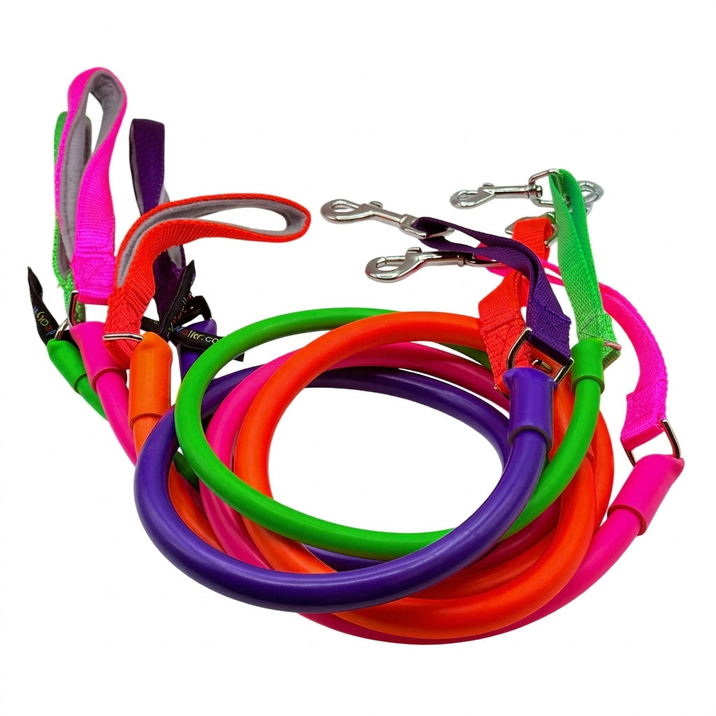 Bungee dog leash with a traffic handle