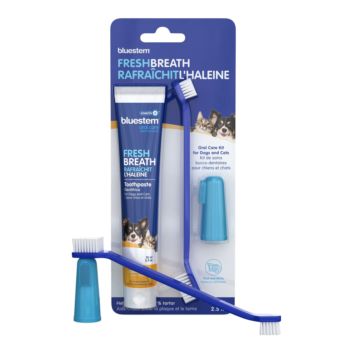 Dental kit