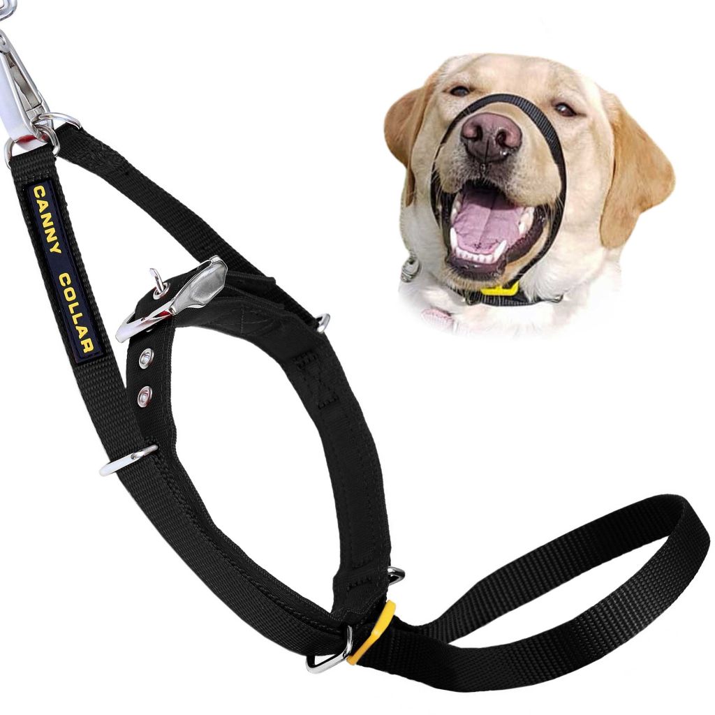 Head collar