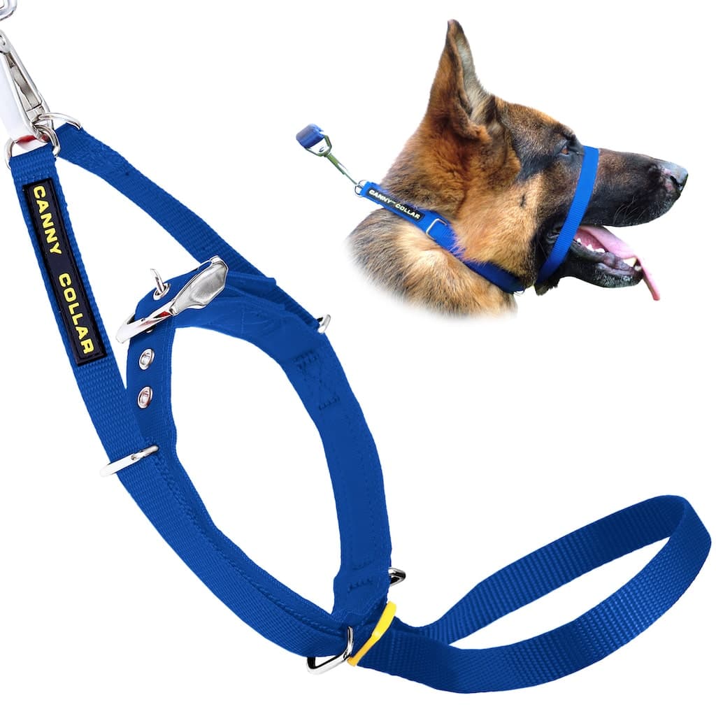 Head collar