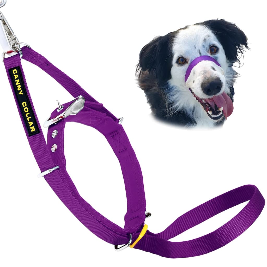 Head collar
