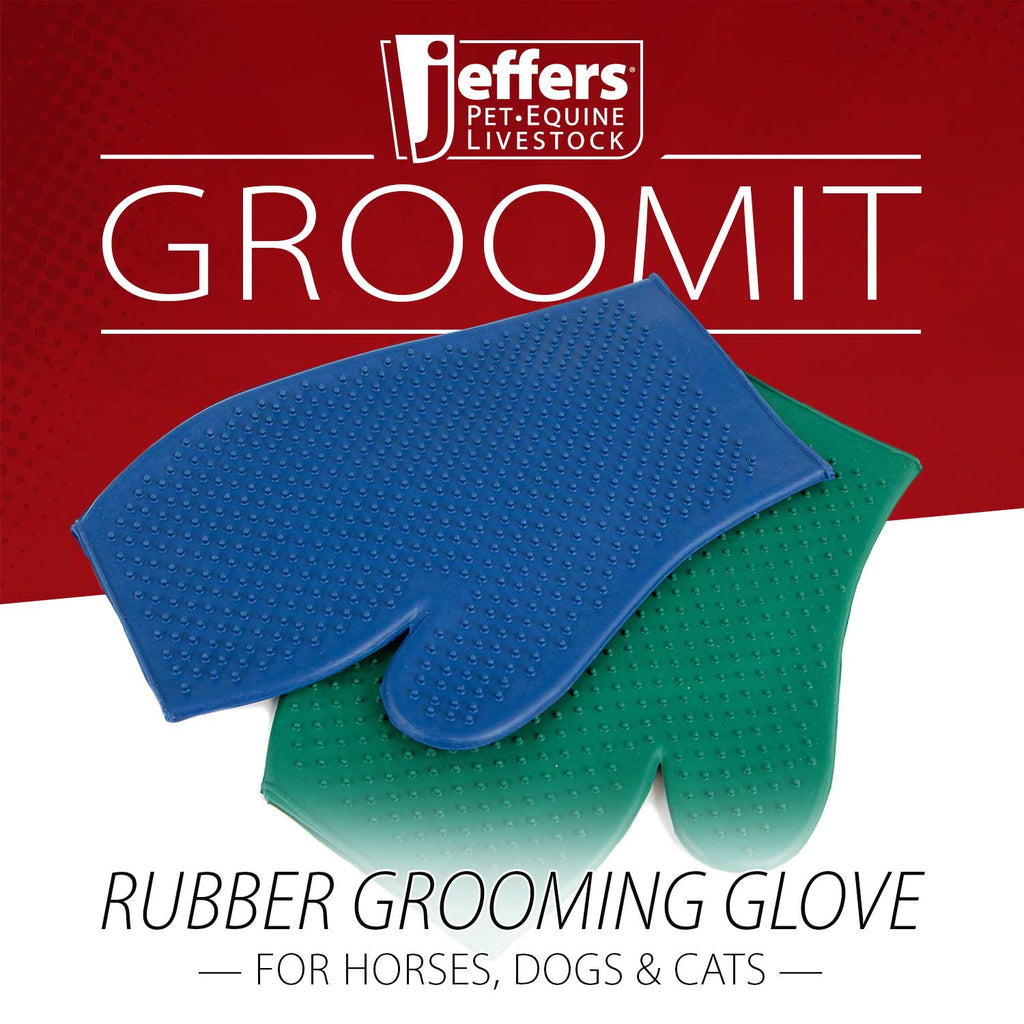 Grooming glove