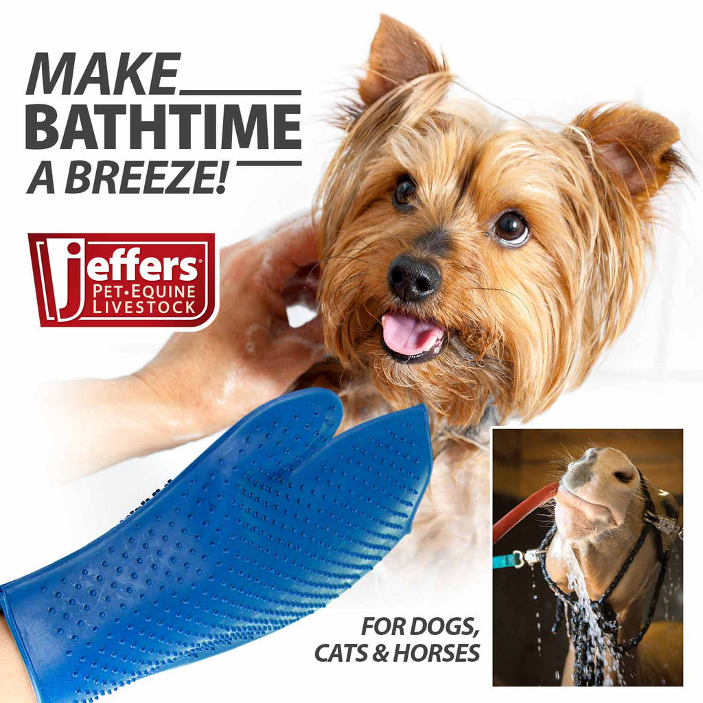 Grooming glove