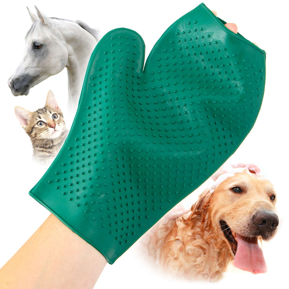 Grooming glove