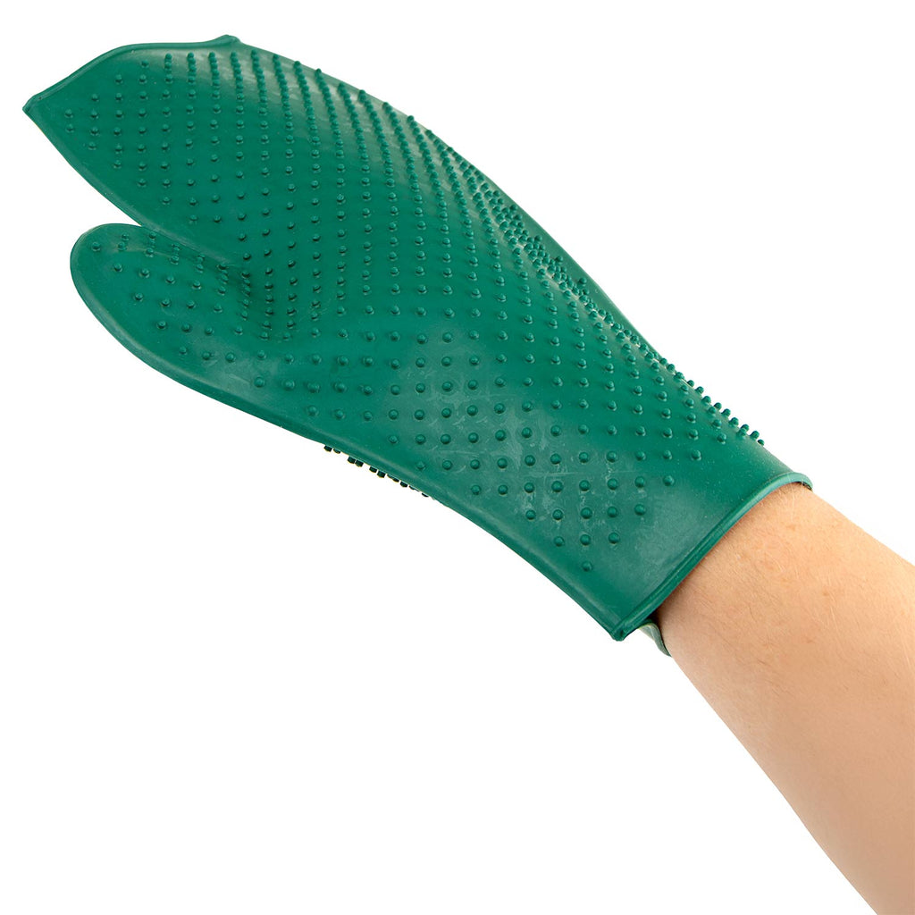 Grooming glove