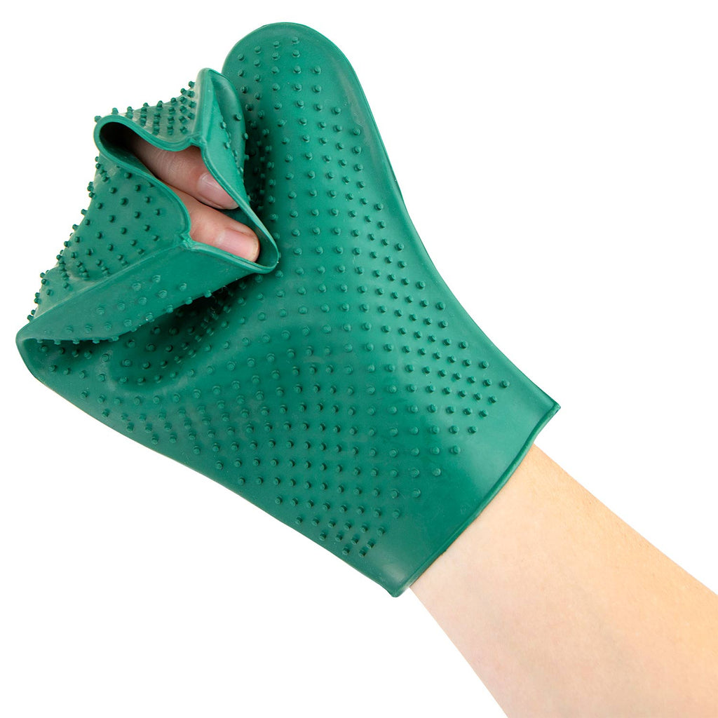 Grooming glove
