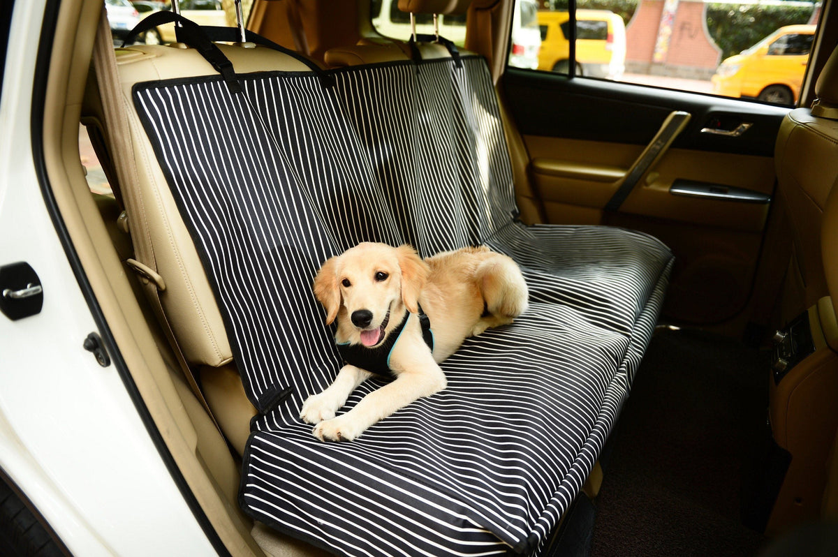 Back seat cover