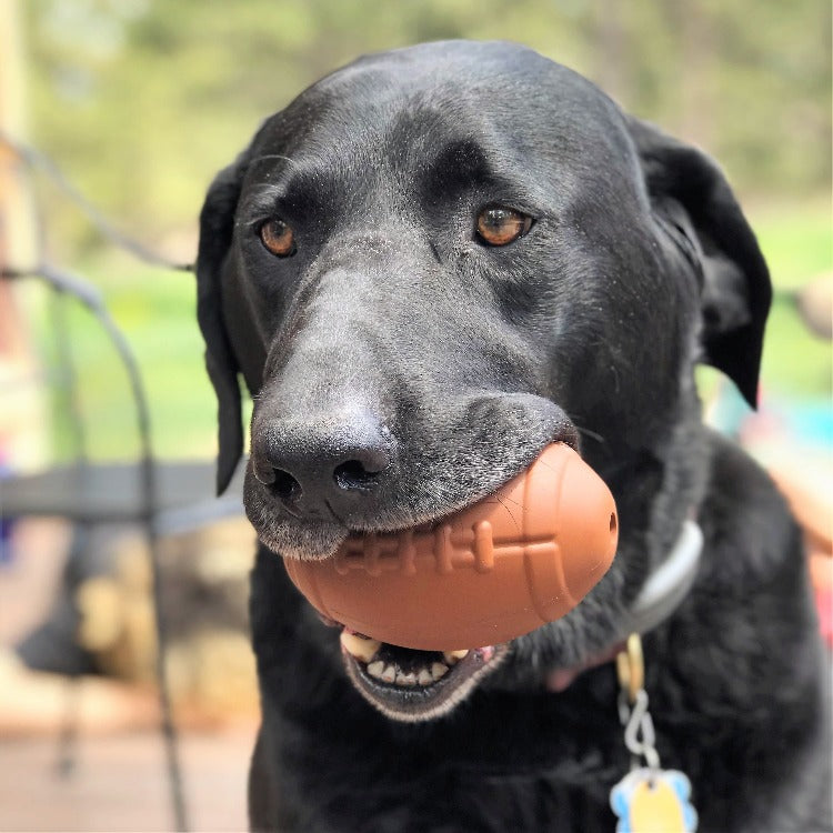 Football treat toy filled for dog enrichment